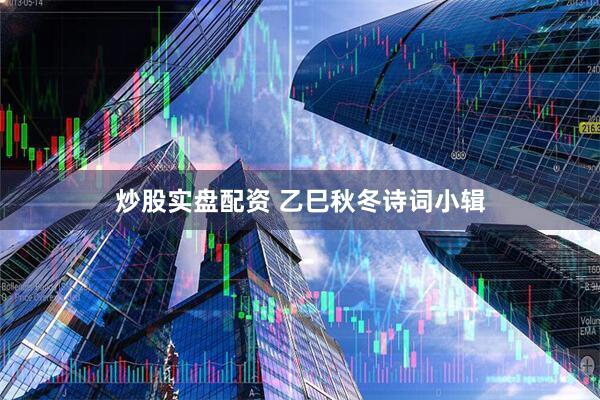 炒股实盘配资 乙巳秋冬诗词小辑