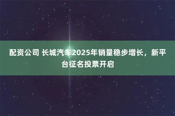配资公司 长城汽车2025年销量稳步增长，新平台征名投票开启