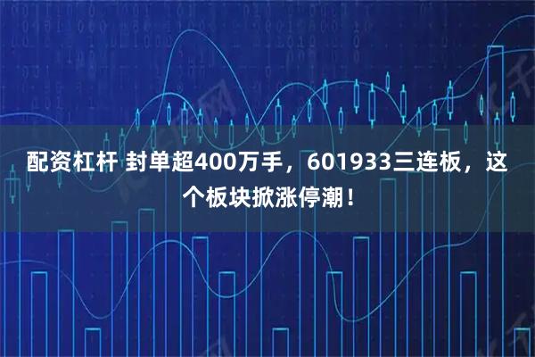 配资杠杆 封单超400万手，601933三连板，这个板块掀涨停潮！