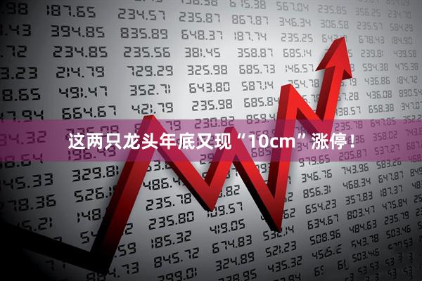 这两只龙头年底又现“10cm”涨停！