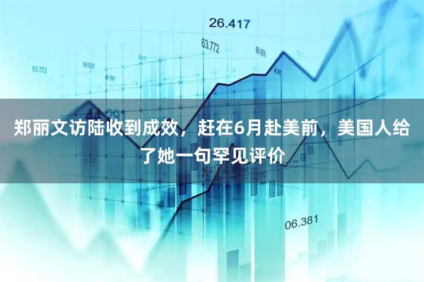 郑丽文访陆收到成效，赶在6月赴美前，美国人给了她一句罕见评价