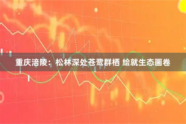 重庆涪陵：松林深处苍鹭群栖 绘就生态画卷