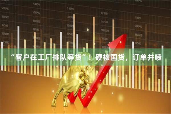 “客户在工厂排队等货”！硬核国货，订单井喷